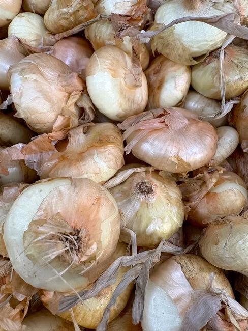 Cebola Nacional (kg)